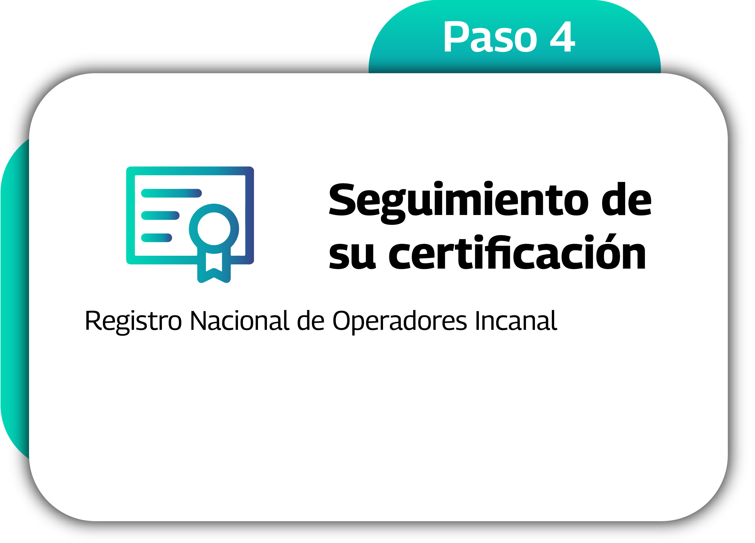 Paso 4